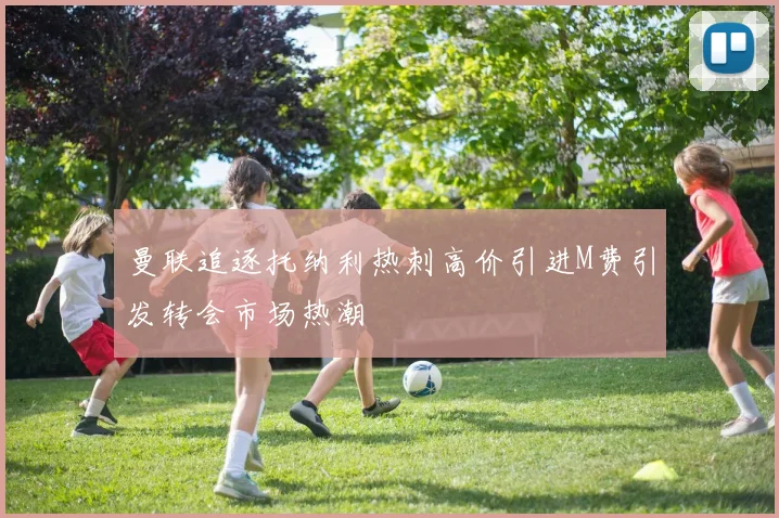 曼联追逐托纳利热刺高价引进M费引发转会市场热潮