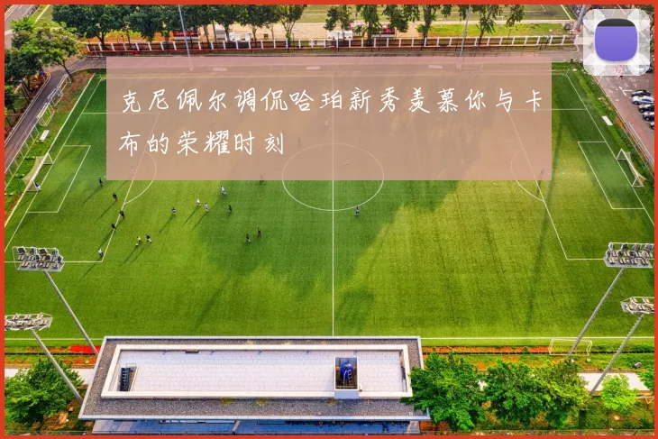 克尼佩尔调侃哈珀新秀羡慕你与卡布的荣耀时刻